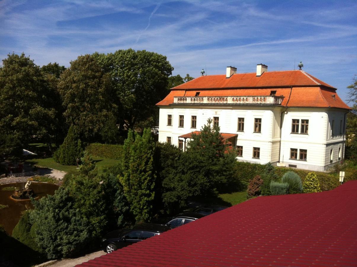 Hotel David Velke Bosany Exterior foto