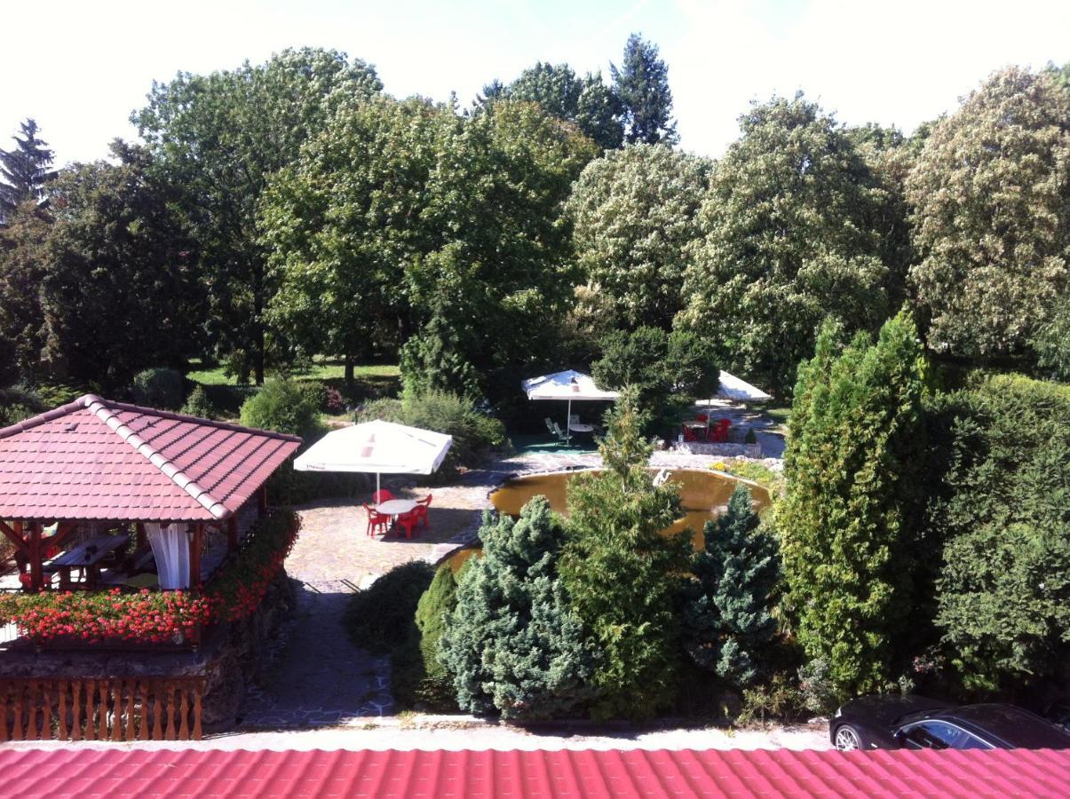 Hotel David Velke Bosany Exterior foto